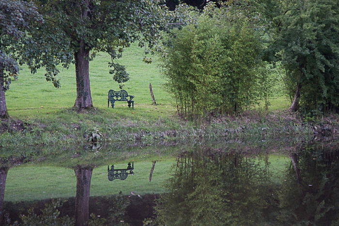 Parc du château de Cerisy, octobre 2013, photo Dom Lacroix, <a href="https://panamo.eu">Panamo.eu</a>